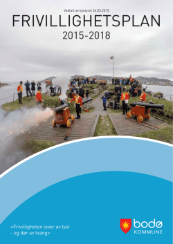 Digital versjon av frivillighetsplan 2015-2018