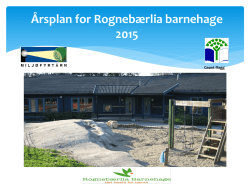 Årsplan for Rognebærlia barnehage 2015
