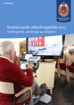 Kristiansands utfordringsbilde 2015