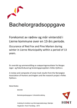 Bachelorgradsoppgave