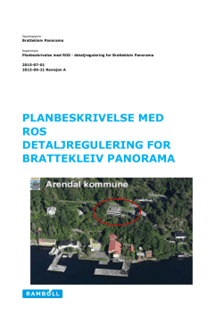 Planbeskrivelse - Arendal kommune