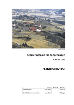 PLANBESKRIVELSE