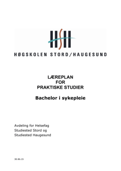 Læreplan for praktiske studier - Fagsider i HSH