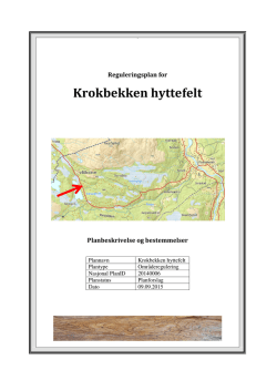 Reguleringsplan for Krokbekken hyttefelt