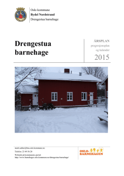 Drengestua barnehage 2015