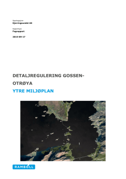 Ytre miljøplan - Midsund kommune