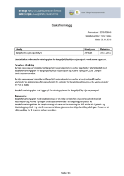 ST 29/2015 Utarbeidelse av besøksforvaltningsplan for Børgefjell
