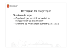 Hovedplan for skogsveger - Brynjar Jørgensen