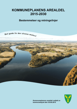 Bestemmelser - Nes kommune
