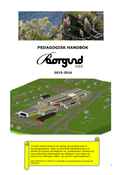 PEDAGOGISK HANDBOK - Borgund vidaregåande skule
