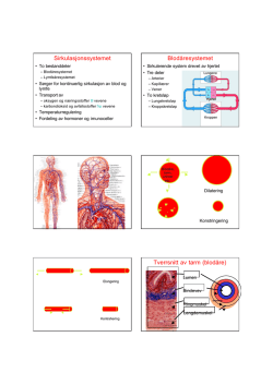 Sirkulasjonssystemet Blodåresystemet Tverrsnitt av tarm (blodåre)