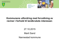 Presentasjon Marit Sand - Nannestad kommune