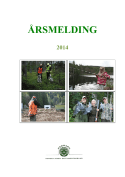 ÅRSMELDING HJFF 2014 orginal (4)