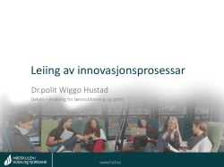 Dr.polit Wiggo Hustad - Leiing av innovasjonsprosessar