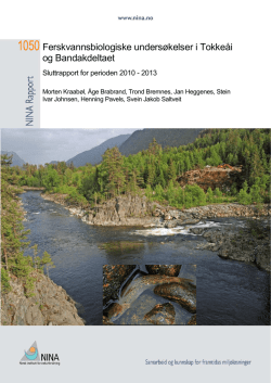 Ferskvannsbiologiske undersøkelser i Tokkeåi og