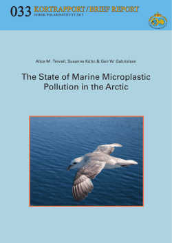 The State of Marine Microplastic Pollution in the Arctic