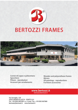 BERTOZZI FRAMES - Компания Viva