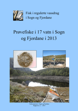 Prøvefiske i 17 vatn i Sogn og Fjordane i 2013