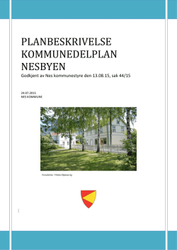 Vedtatt Planbeskrivelse kommunedelplan Nesbyen