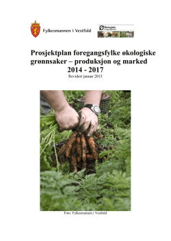 Prosjektplan foregangsfylke økologiske grønnsaker – produksjon og