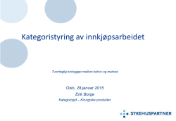2. Erik Borge – Kategoristyring - Helse Sør-Øst