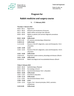 Program for Rabbit medicine and surgery course