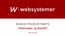 Websystemer