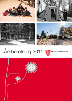 Årsberetning 2014 - Ringsaker kommune