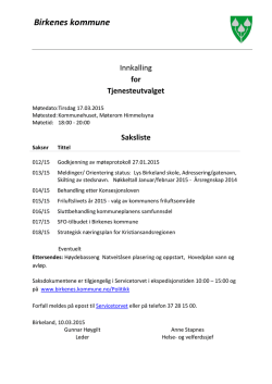 Sakspapirer 17.03.2