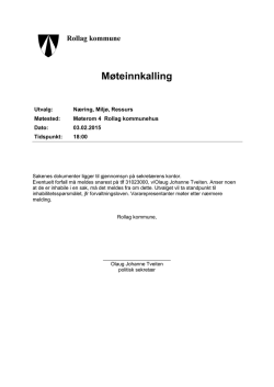 Møteinnkalling - Rollag kommune