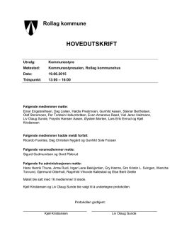 HOVEDUTSKRIFT - Rollag kommune
