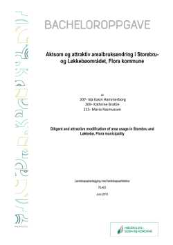 Aktsom og attraktiv arealbruksendring i Storebru