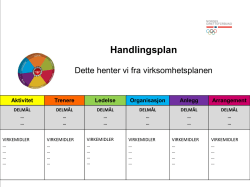 Handlingsplan organisasjonshjulet