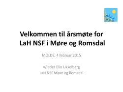 Årsmøte 04 februar 2015 - Norsk Sykepleierforbund