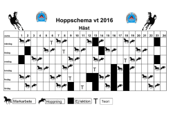 Hoppschema häst HT-15