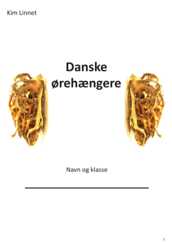 Danske ørehængere
