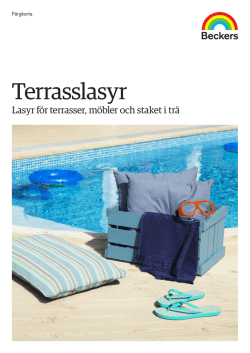 Terrasslasyr