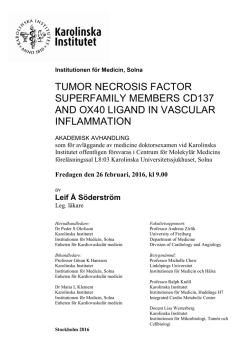 tumor necrosis factor superfamily members cd137