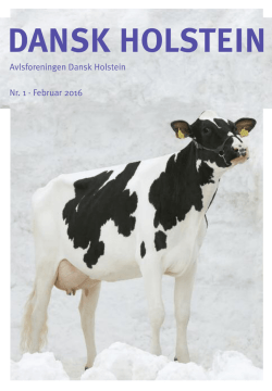 klik her - Dansk Holstein