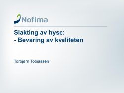 Slakting av Torbjørn Tobiassen, Nofima