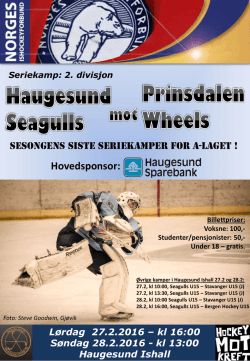 Hovedsponsor - Haugesund Ishockeyklubb – Seagulls