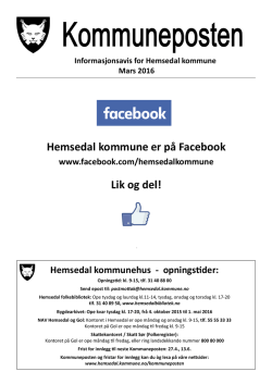 K-post_Mal 1 - Hemsedal kommune
