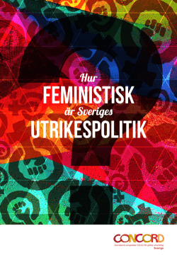 Hur feministisk är svensk utrikespolitik