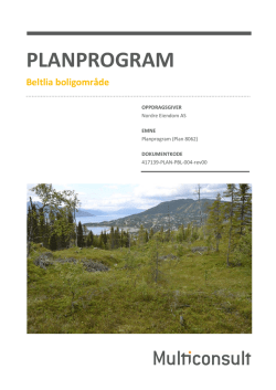 8062 Planprogram høringsutgave