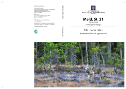 Dokumentet i PDF format