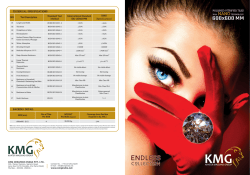 KMG Soluble Salt Brochure 600x600mm