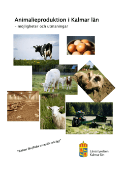 Rapporten Animalieproduktion i Kalmar län