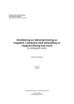 Utvärdering av dekomprimering av magsäck i samband med