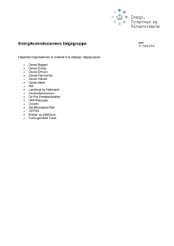 Energikommissionens følgegruppe