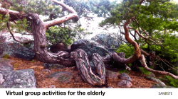 Virtual group activities for the elderly
